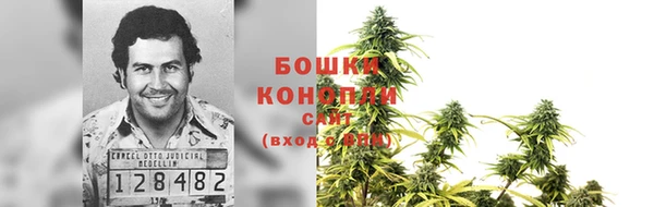 шишки Алексеевка