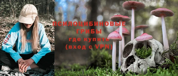 шишки Алексеевка
