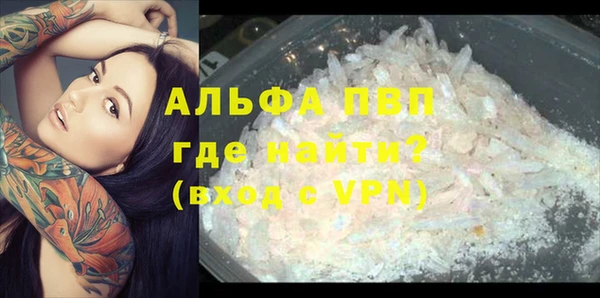 винт Алзамай