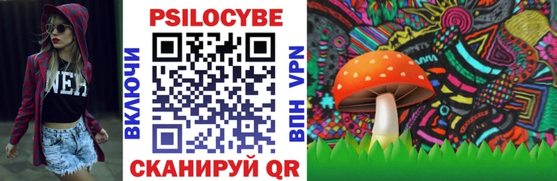 Псилоцибиновые грибы Psilocybine cubensis  МЕГА онион  Полысаево  как найти наркотики 
