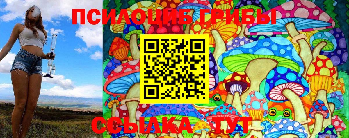 Псилоцибиновые грибы MAGIC MUSHROOMS  Псилоцибиновые грибы ЛСД  Вход с VPN  Полысаево 
